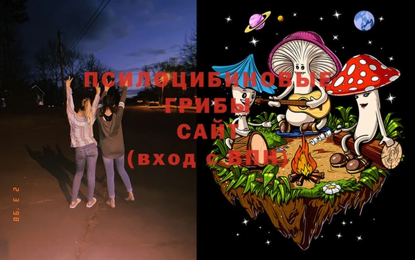 эйфоретик Алексин