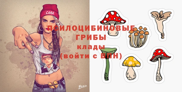 эйфоретик Алексин