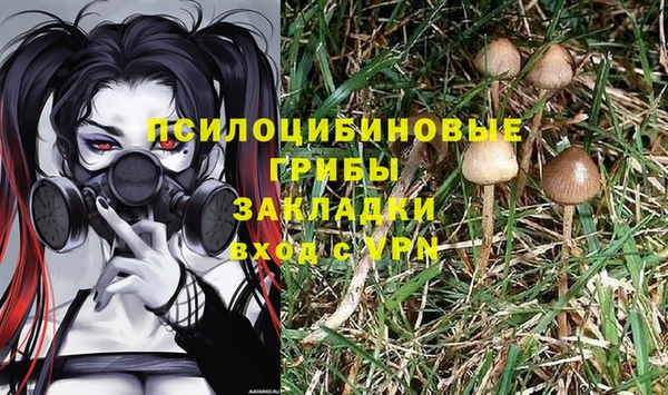 герыч Алексеевка