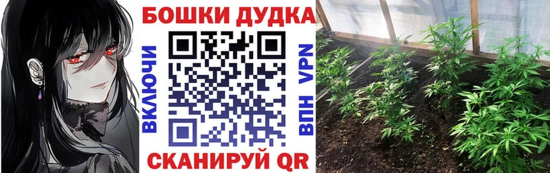 Шишки марихуана конопля Юрьевец